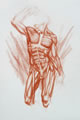 Michael Hensley Drawings, Human Anatomy 16